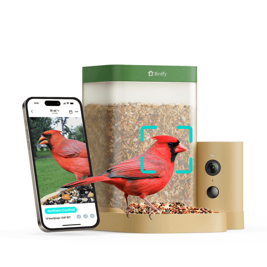 Smart Bird Feeder product image 14