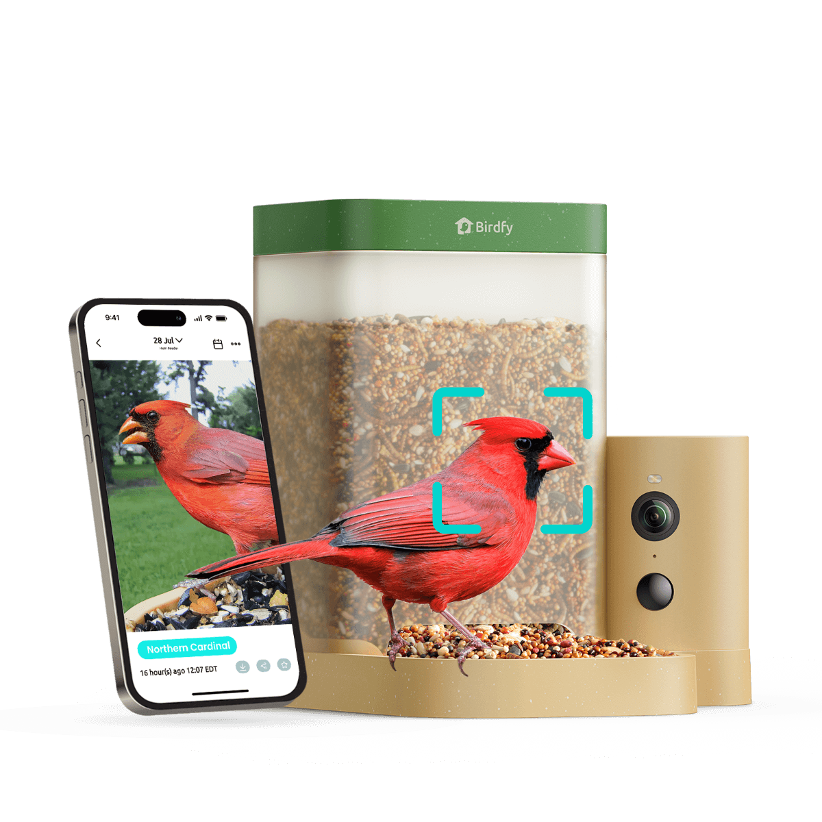 Smart Bird Feeder product image 14