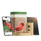 Smart Bird Feeder product image 15