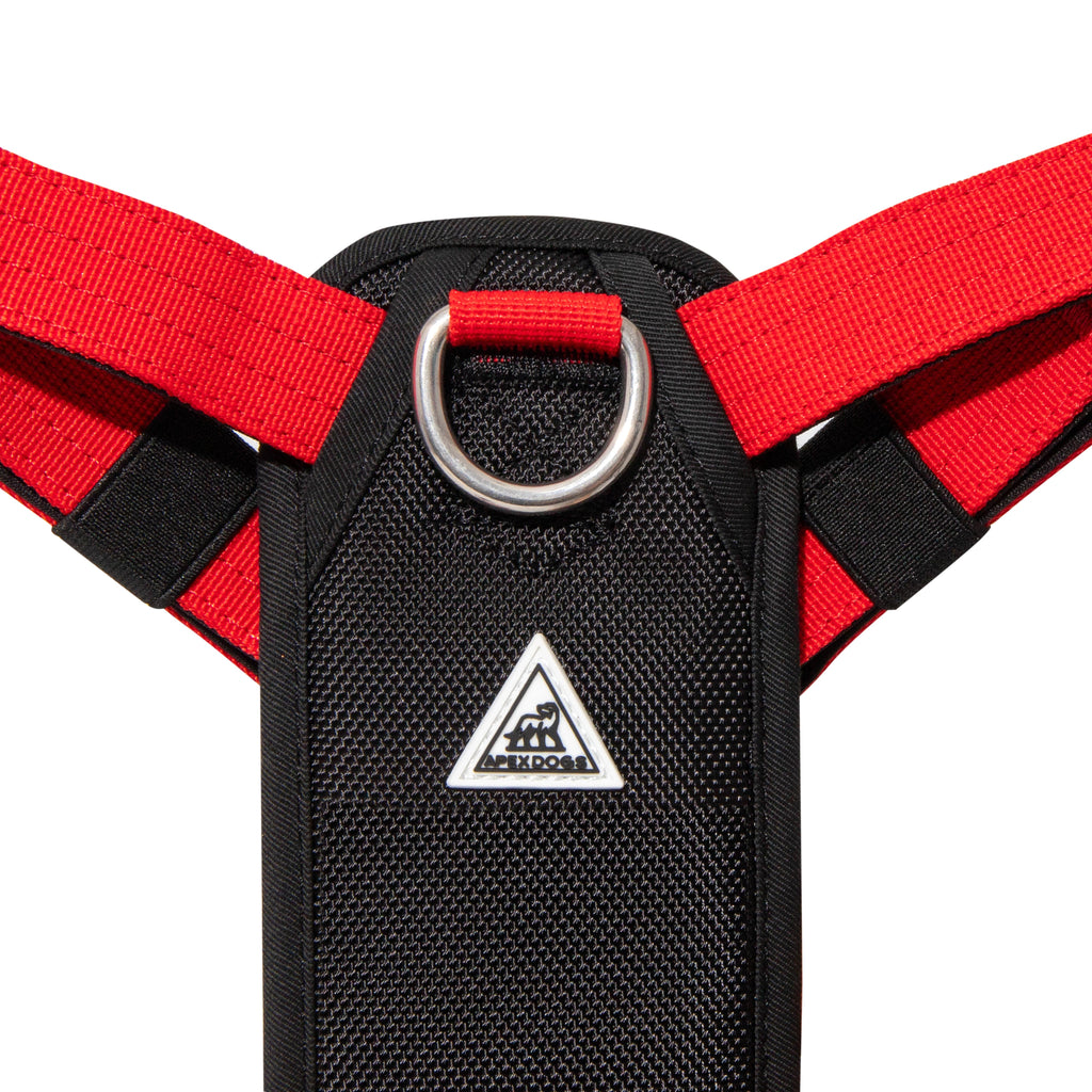 Dog Harness product image 20