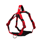 Dog Harness product image 37