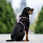 Dog Harness product image 48