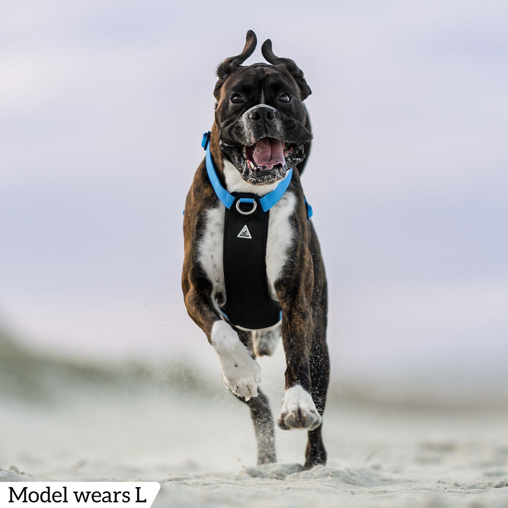 Dog Harness product image 54