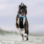 Dog Harness product image 54