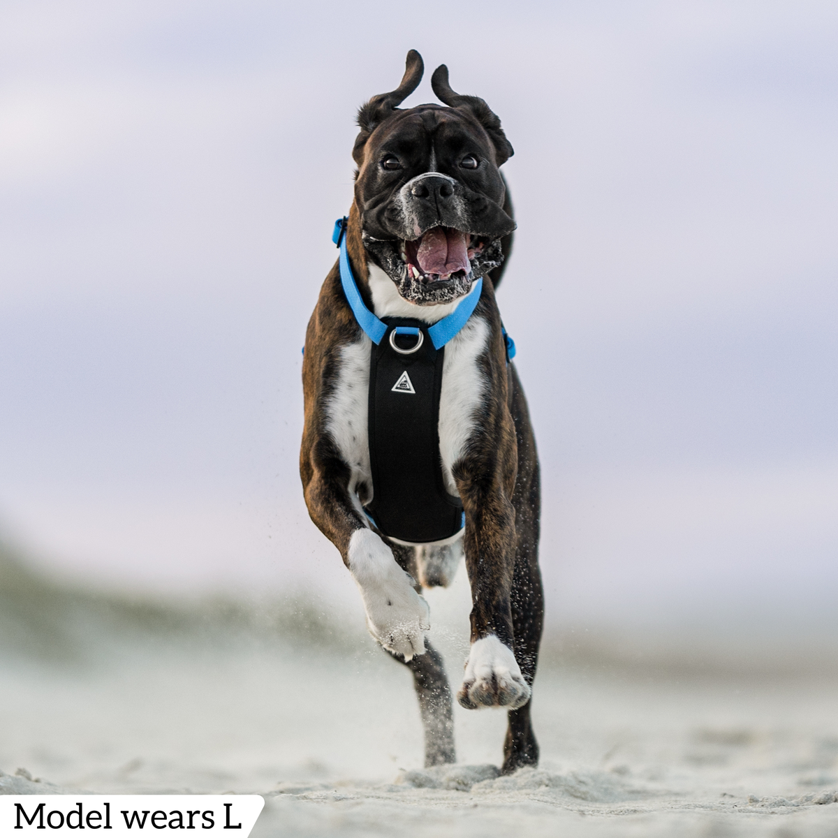 Dog Harness product image 54