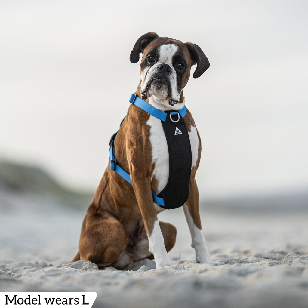 Dog Harness product image 55