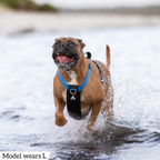 Dog Harness product image 56