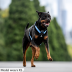 Dog Harness product image 57