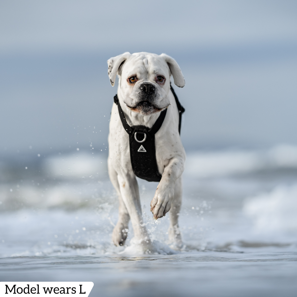 Dog Harness product image 59