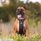 Dog Harness product image 60