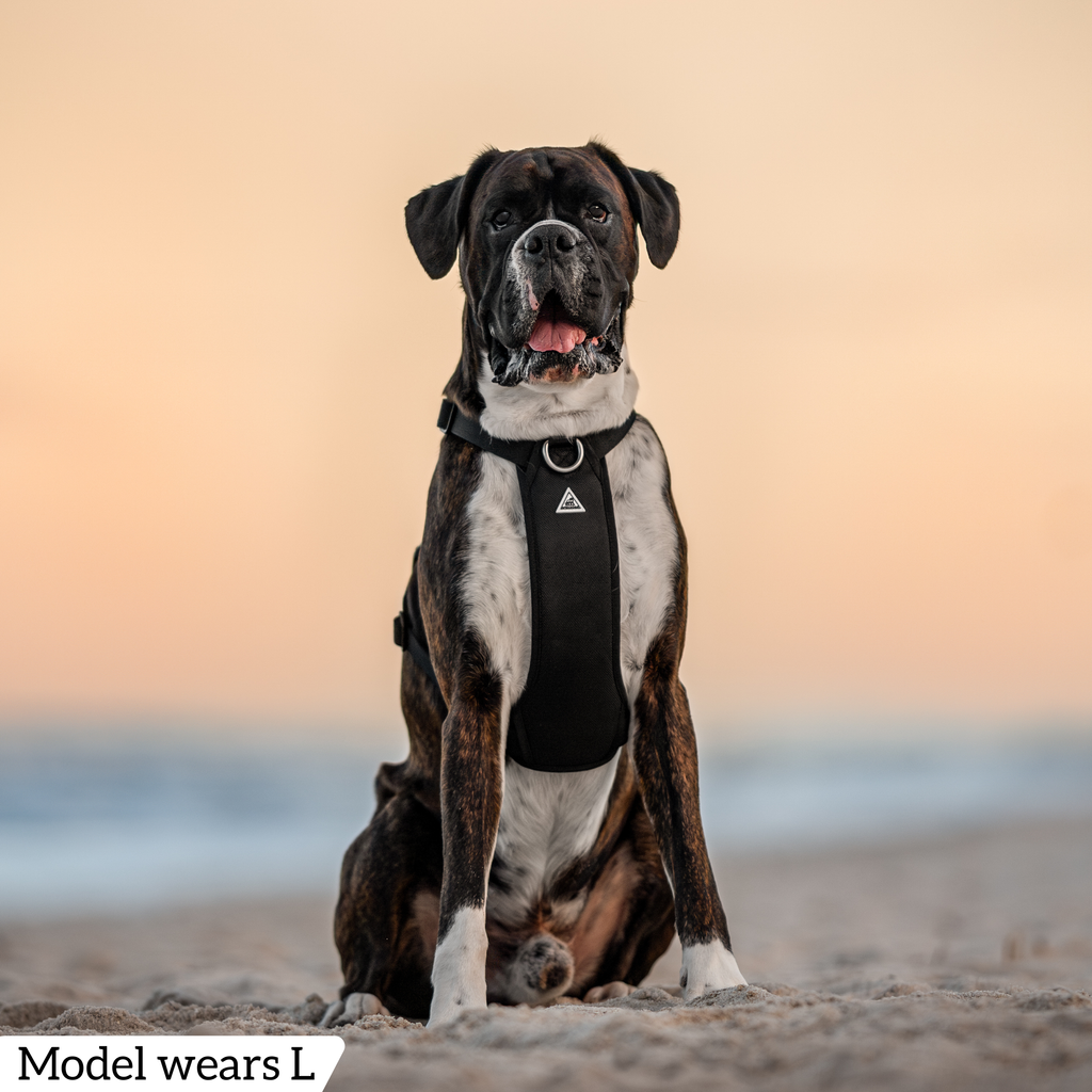 Dog Harness product image 62