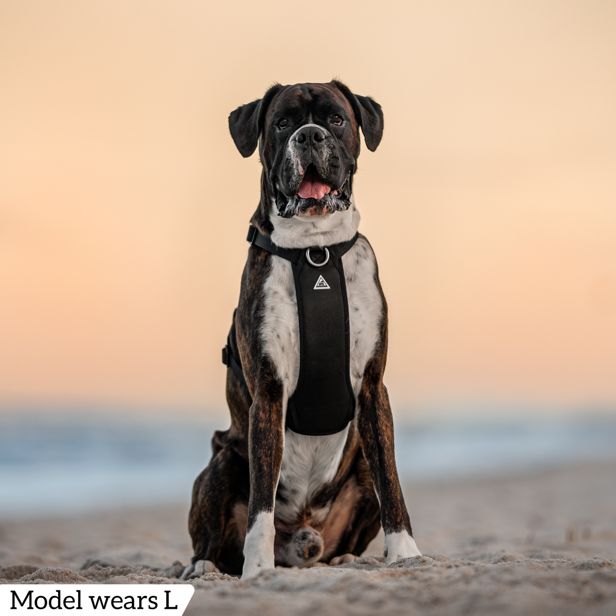 Dog Harness product image 62