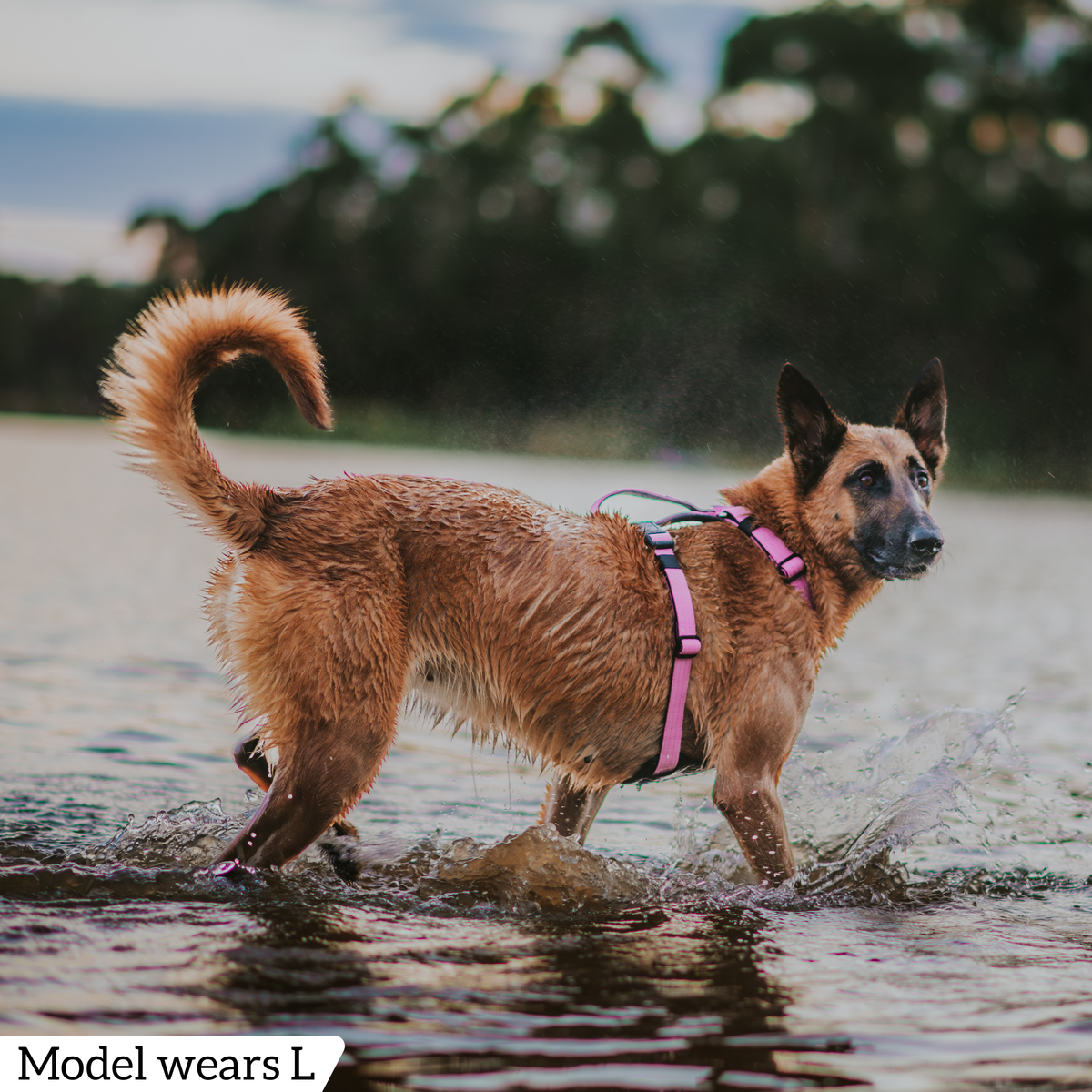 Dog Harness product image 63