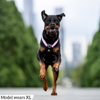Dog Harness product image 65