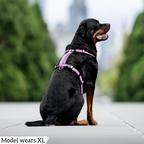 Dog Harness product image 66