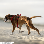 Dog Harness product image 68