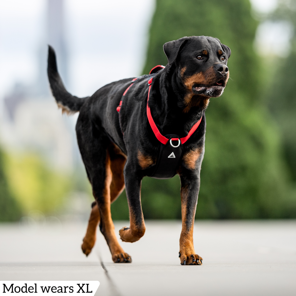 Dog Harness product image 69