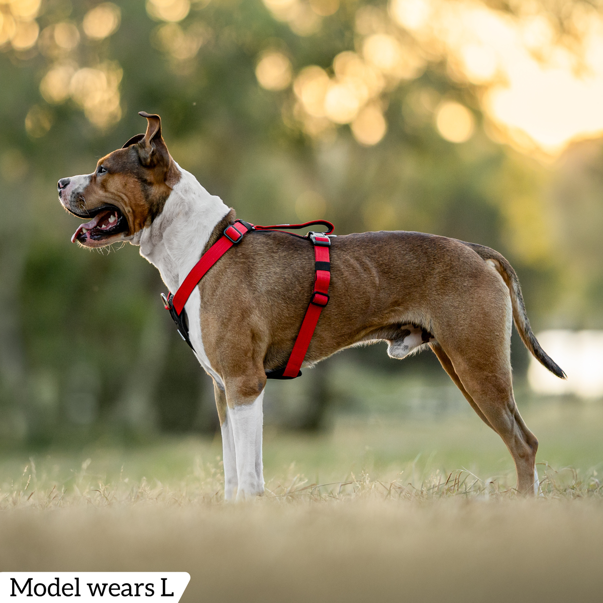 Dog Harness product image 71