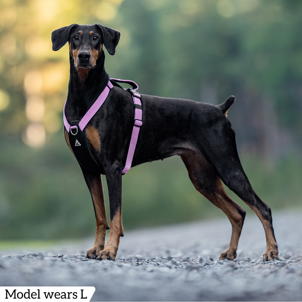 Dog Harness product image 74