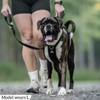Dog Harness product image 75