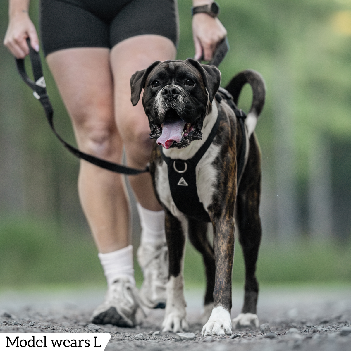 Dog Harness product image 75