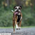 Dog Harness product image 76