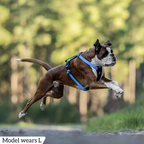 Dog Harness product image 77
