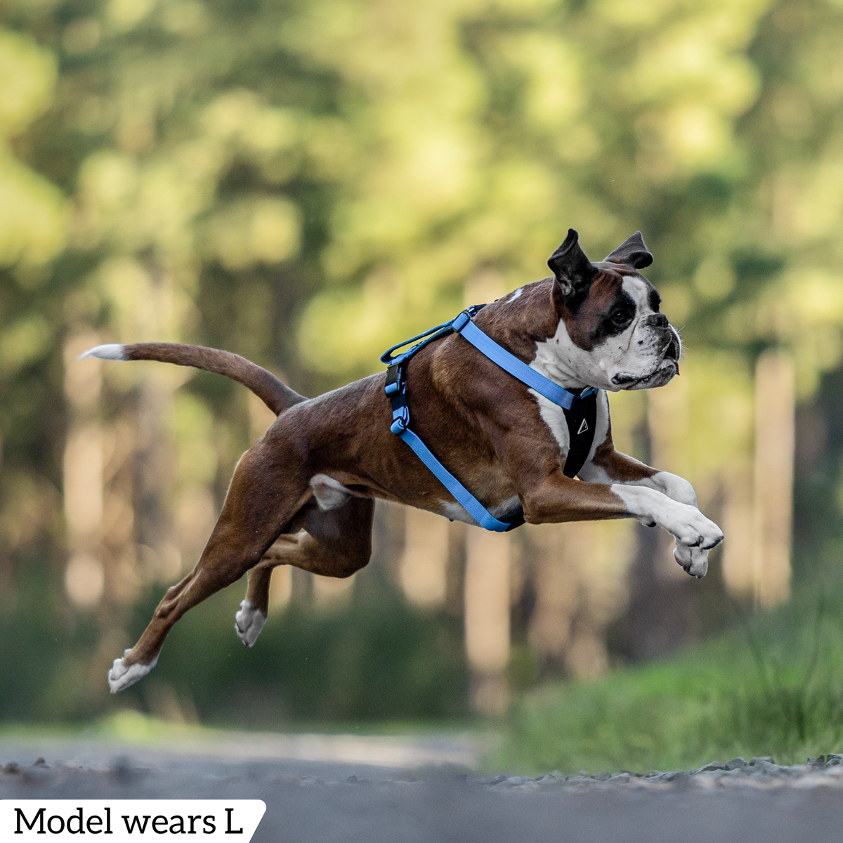 Dog Harness product image 77