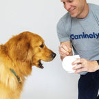 Dog Joint Supplement Chew product image 2