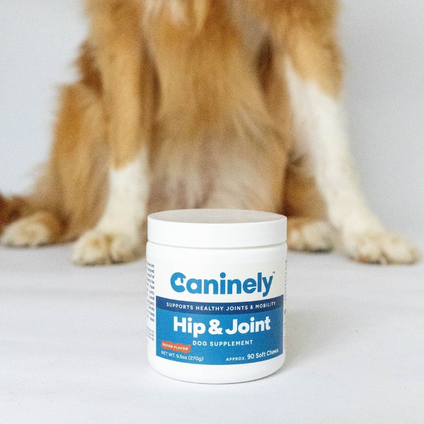 Dog Joint Supplement Chew product image 3