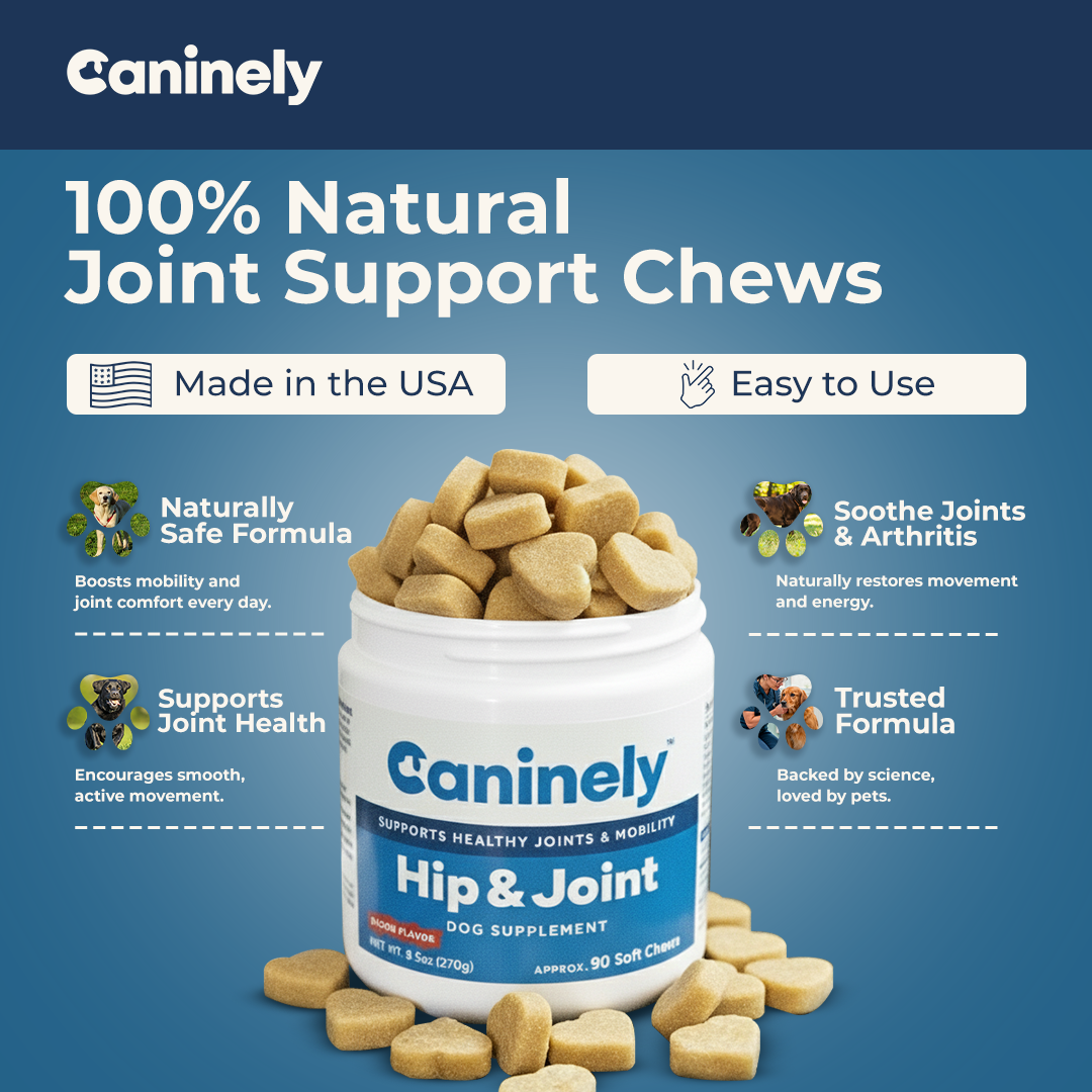 Dog Joint Supplement Chew product image 4