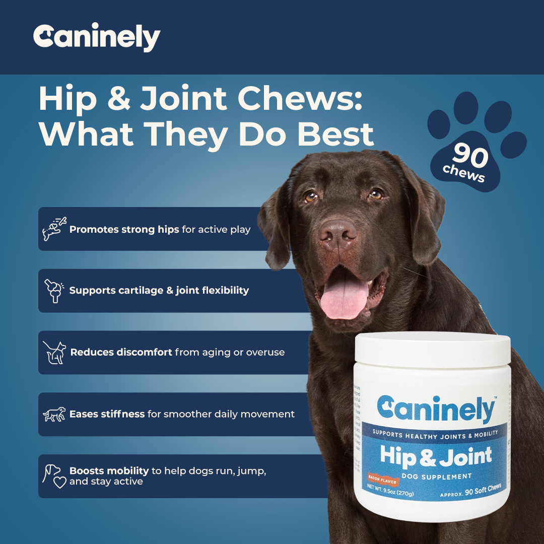 Dog Joint Supplement Chew product image 5