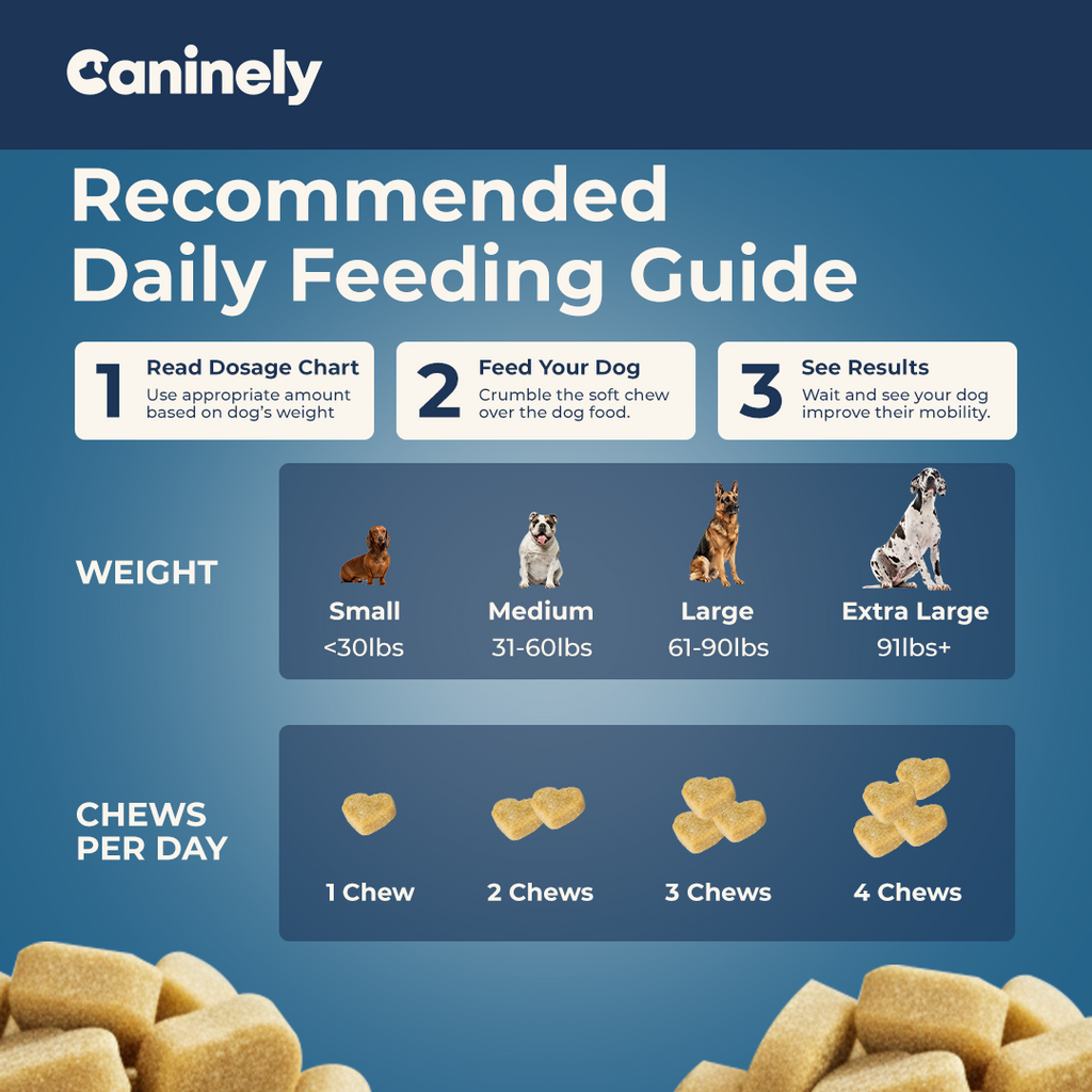Dog Joint Supplement Chew product image 6