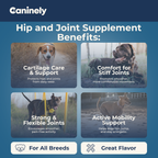 Dog Joint Supplement Chew product image 8