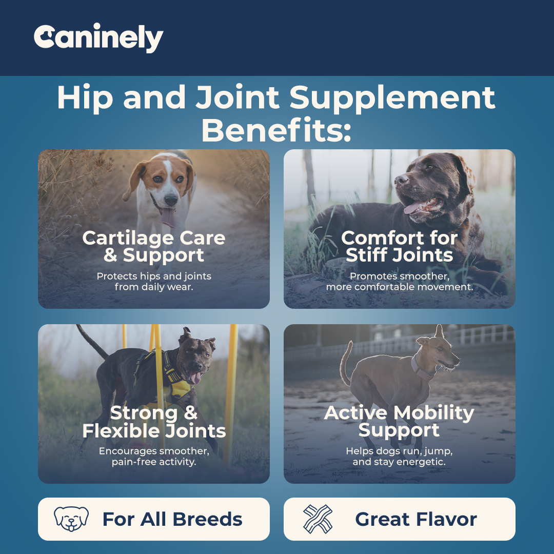 Dog Joint Supplement Chew product image 8