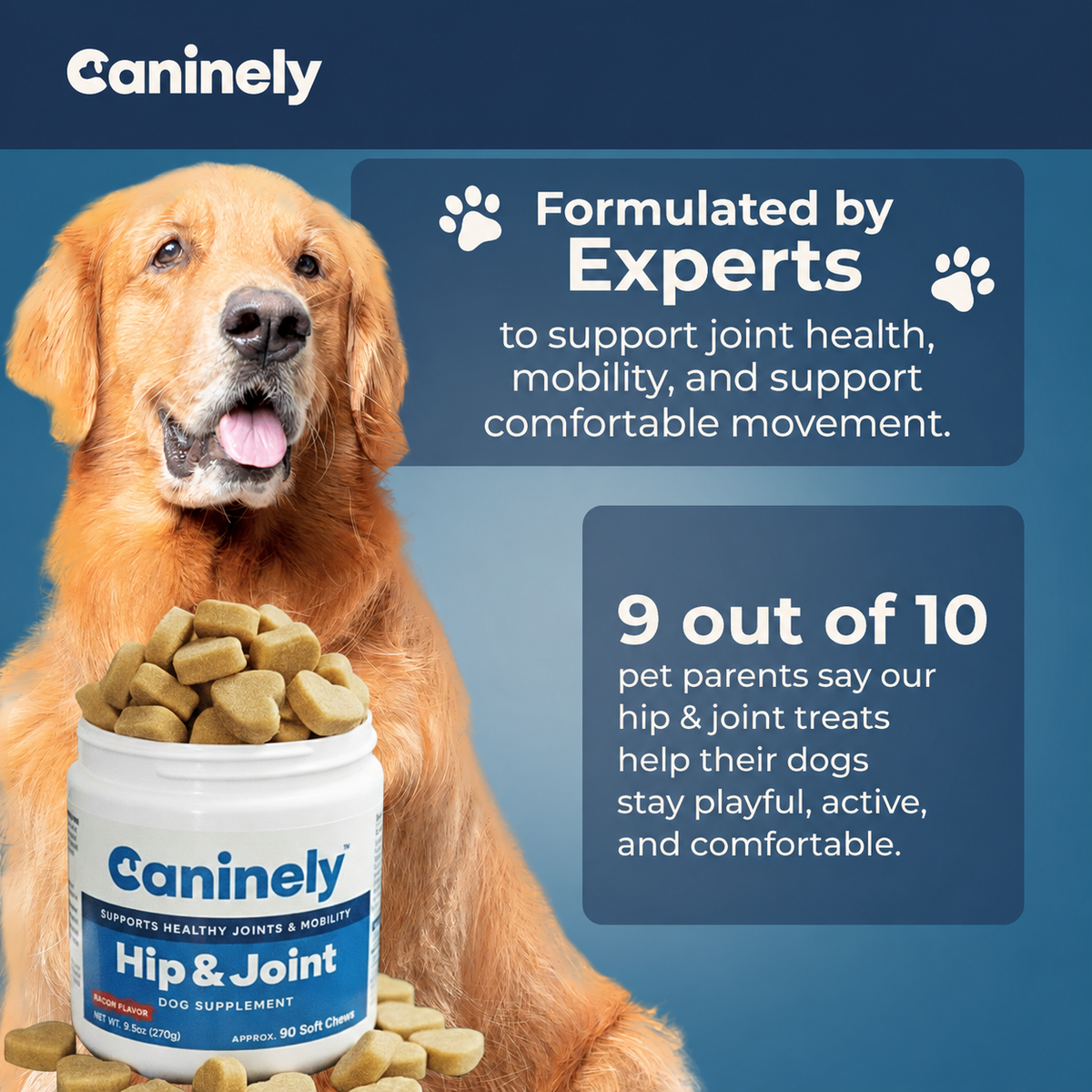 Dog Joint Supplement Chew product image 9