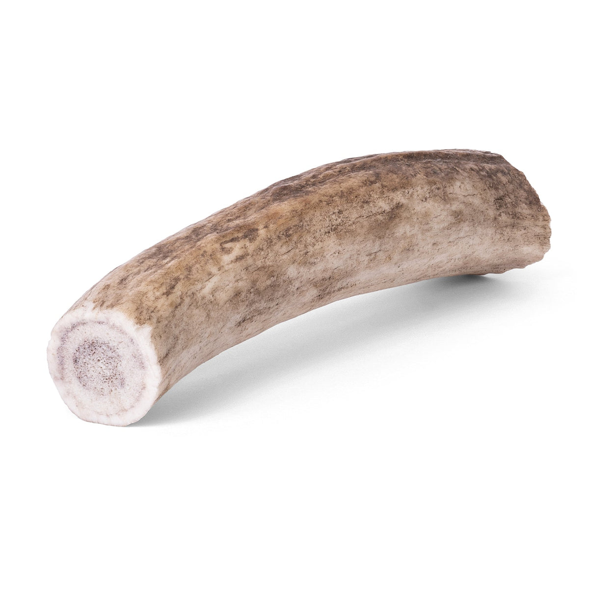 Dog Antler Chews product image 3