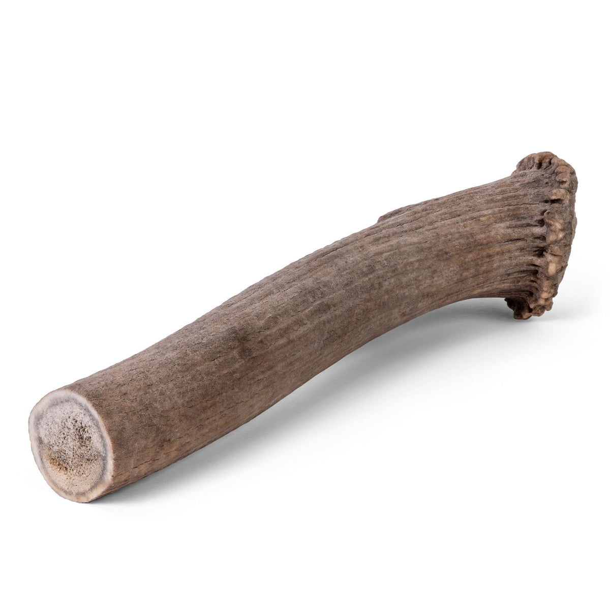 Dog Antler Chews product image 6