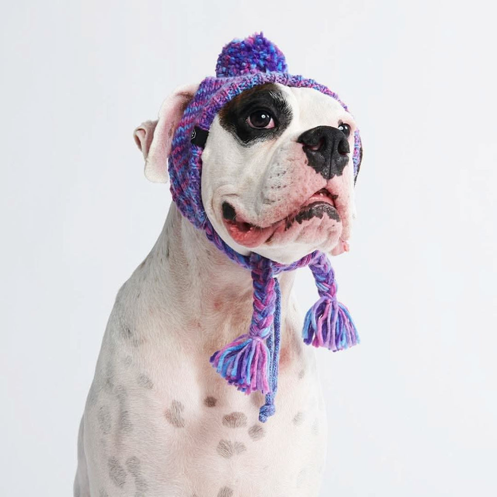 Knit Pom-Pom Dog Beanie product image 6