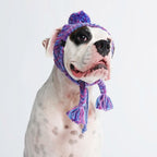 Knit Pom-Pom Dog Beanie product image 6
