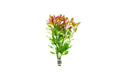 Aquarium Stem Plant product image 1