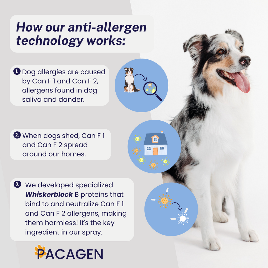 Dog Allergen Neutralizing Spray product image 3