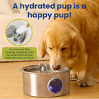 Dog Water Fountain product image 3