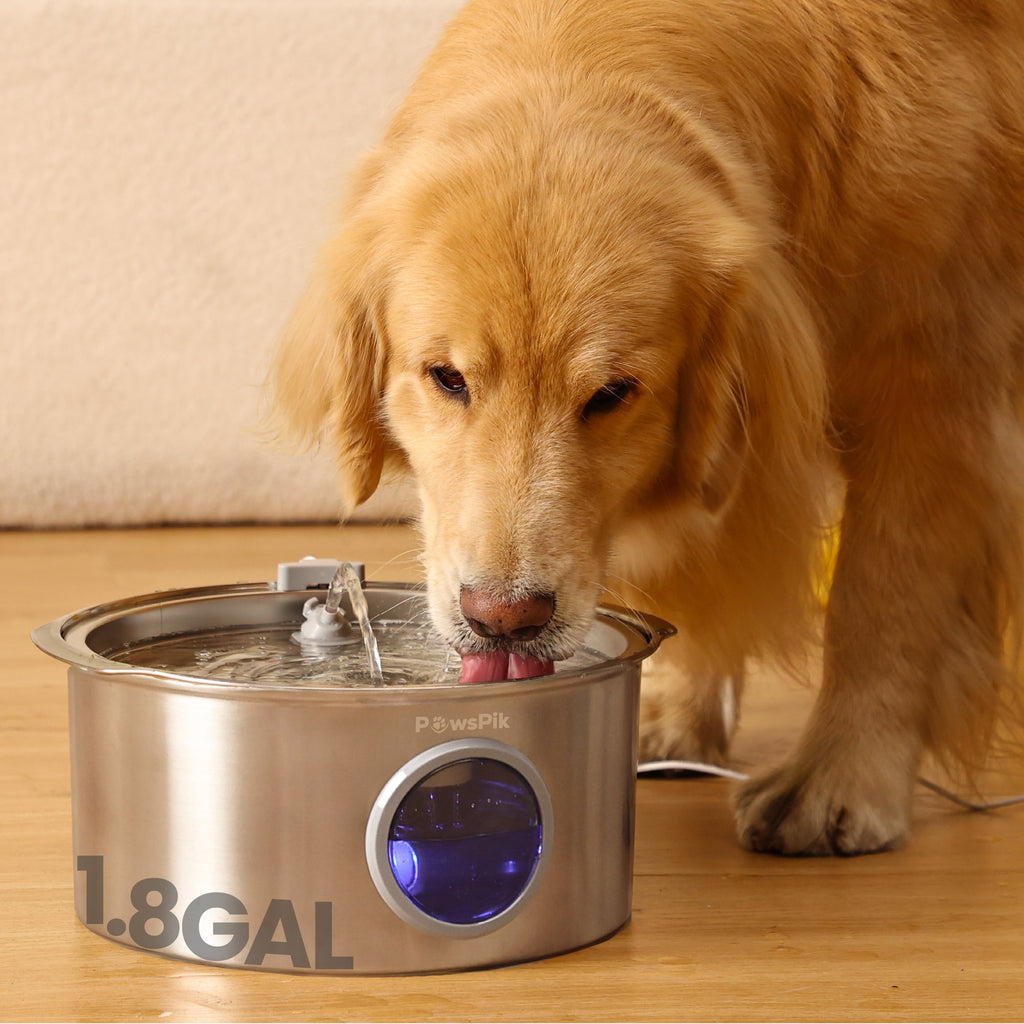 Dog Water Fountain product image 11