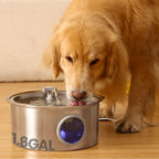 Dog Water Fountain product image 11