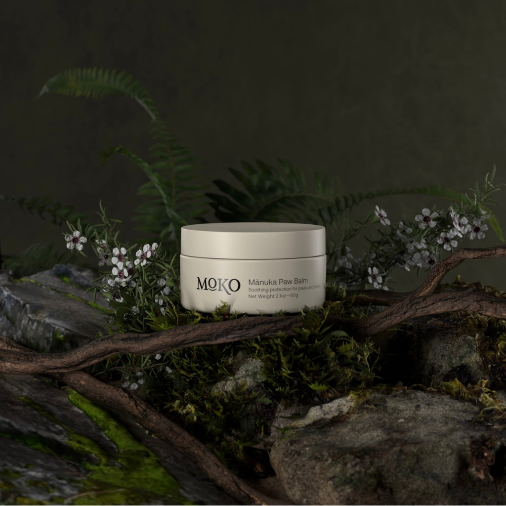 Dog Paw Balm product image 2