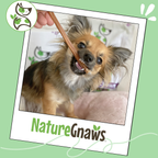 Bully Stick Dog Chew product image 6