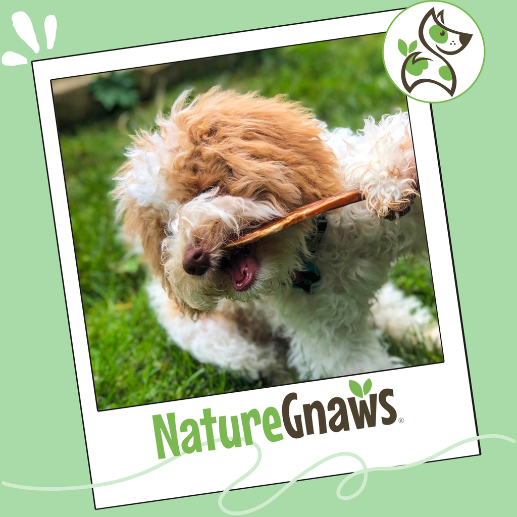 Bully Stick Dog Chew product image 7