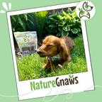 Dog Chews product image 7