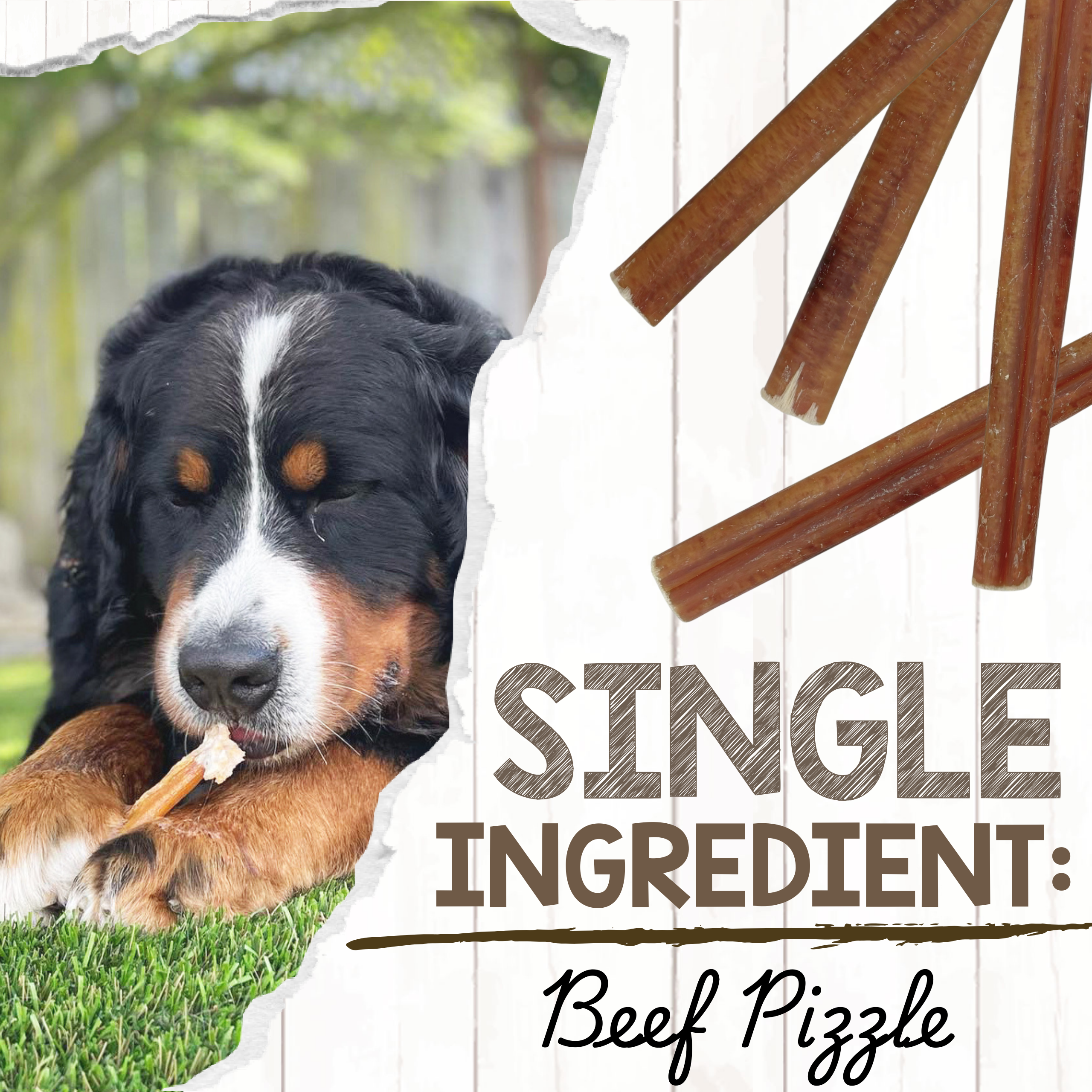 Large 5–6 Inch Beef Bully Sticks product image 3